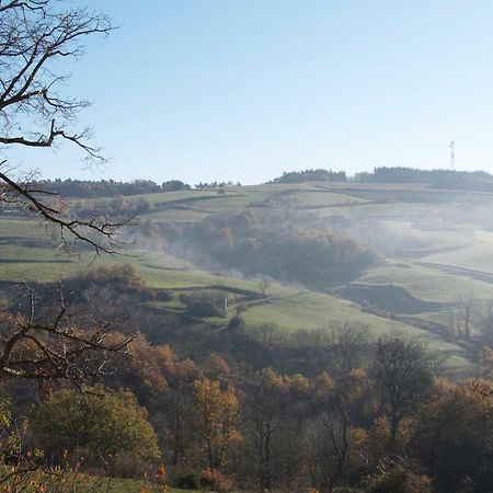 Gites Le Chene & Le Tilleul Saint-Romain-de-Lerps Buitenkant foto
